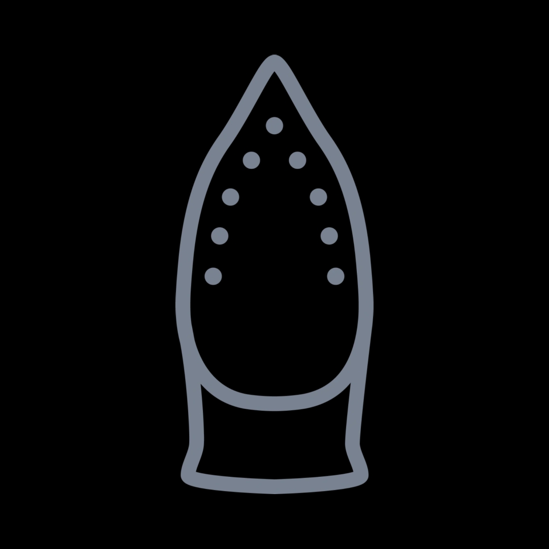 5000 Series Steam iron